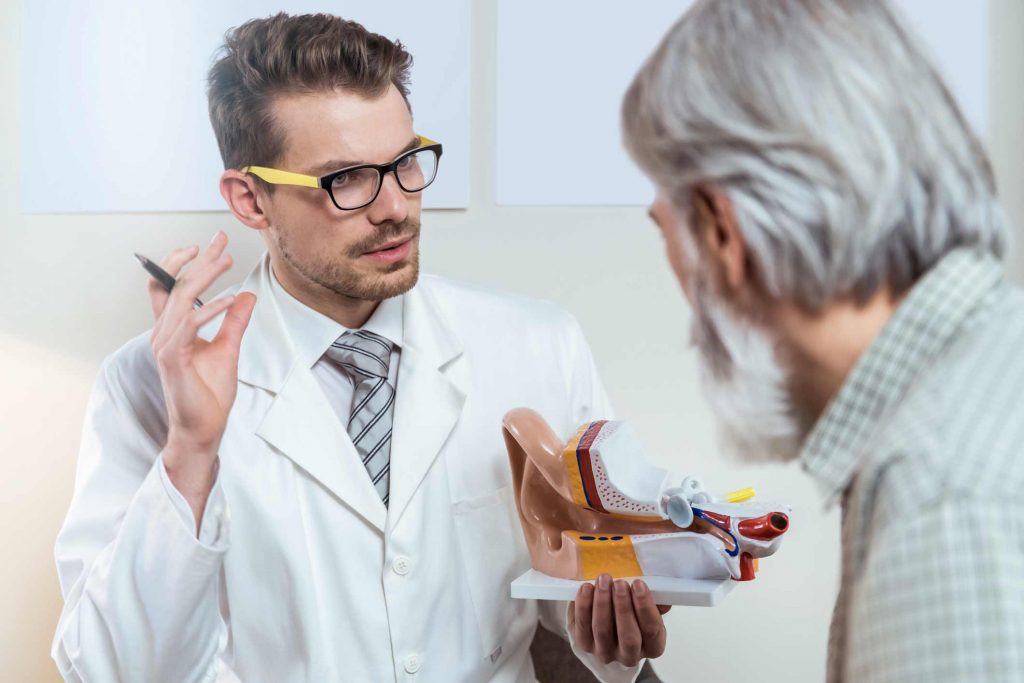 Practitioner showing model 3d ear to patient